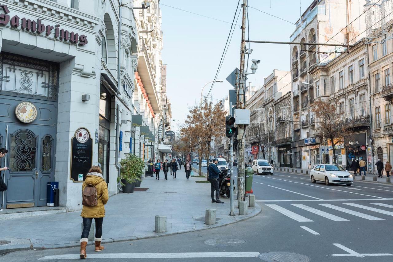 Brezoianu Spacious Flat ブカレスト エクステリア 写真